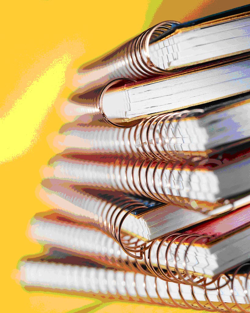 Публикувани са Националните програми за 2011 г. за развитие на средното образование