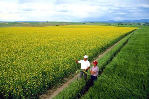 ДФ „Земеделие” одобри 49 проекта за 49 млн. лева от програмата за селските райони