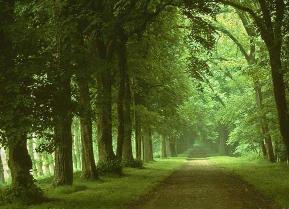 Програмата за развитие на селските райони от днес с официален сайт