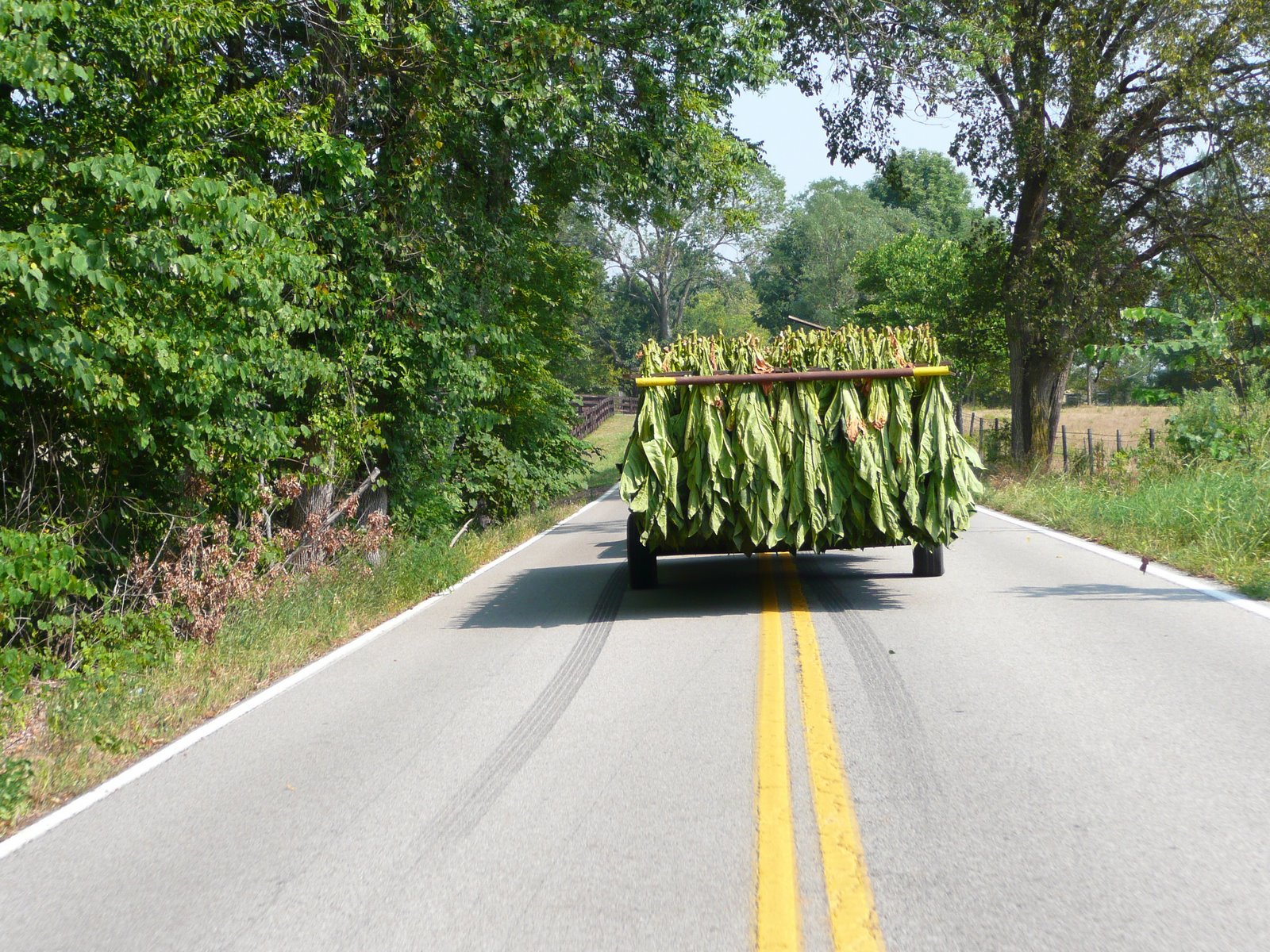 Голямо количество тютюн е задържан на Кулата