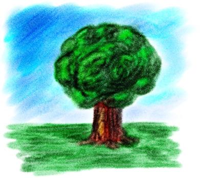 МС прие Постановление за изменение и допълненние на Правилника за прилагане на Закона за горите