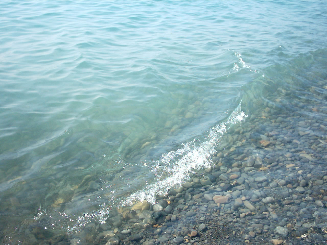 191 проекта бяха подадени по ОП "Околна среда"