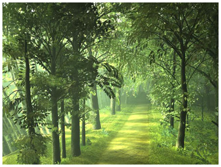 Български гори